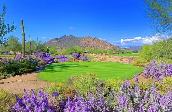 $6,000 | 7125 East Canyon Wren Circle, Scottsdale, AZ 85266