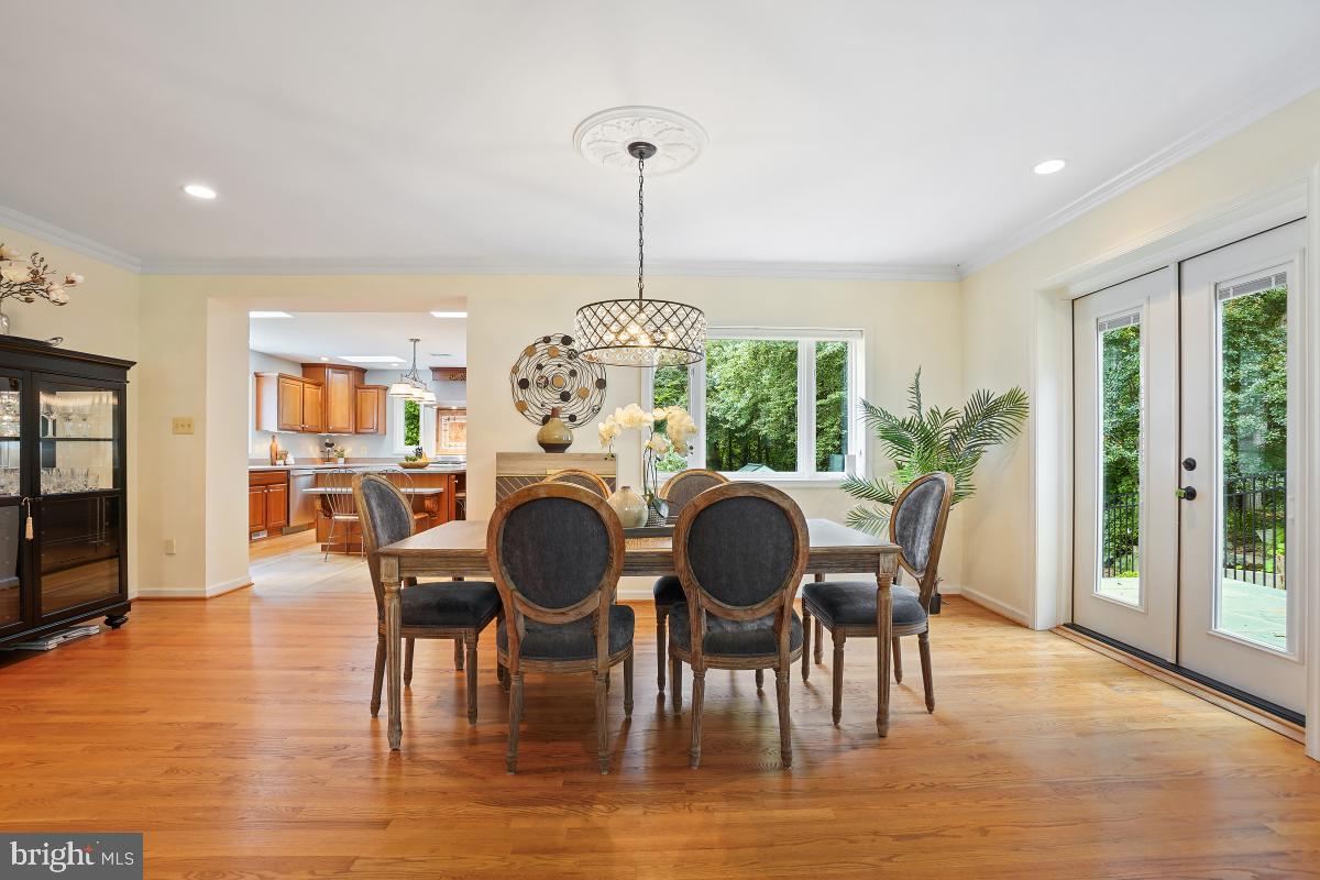 4604 Park Road Alexandria, VA 22312 - Photo 13 of 65 New over head light and doors to side patio