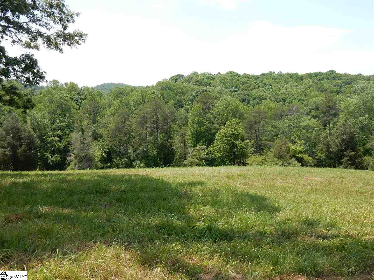 7021 Mountain View Road Taylors, SC 29687 - Photo 9 of 11 Gallery Image 9