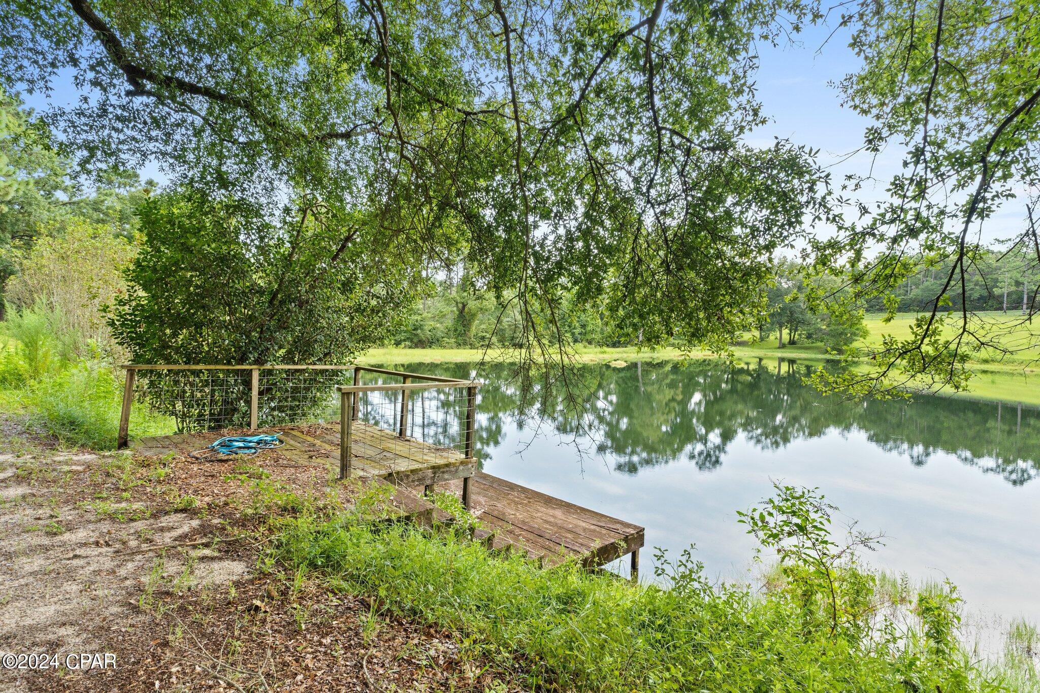 2584 Roche Road Chipley, FL 32428 - Photo 5 of 41 Gallery Image 5
