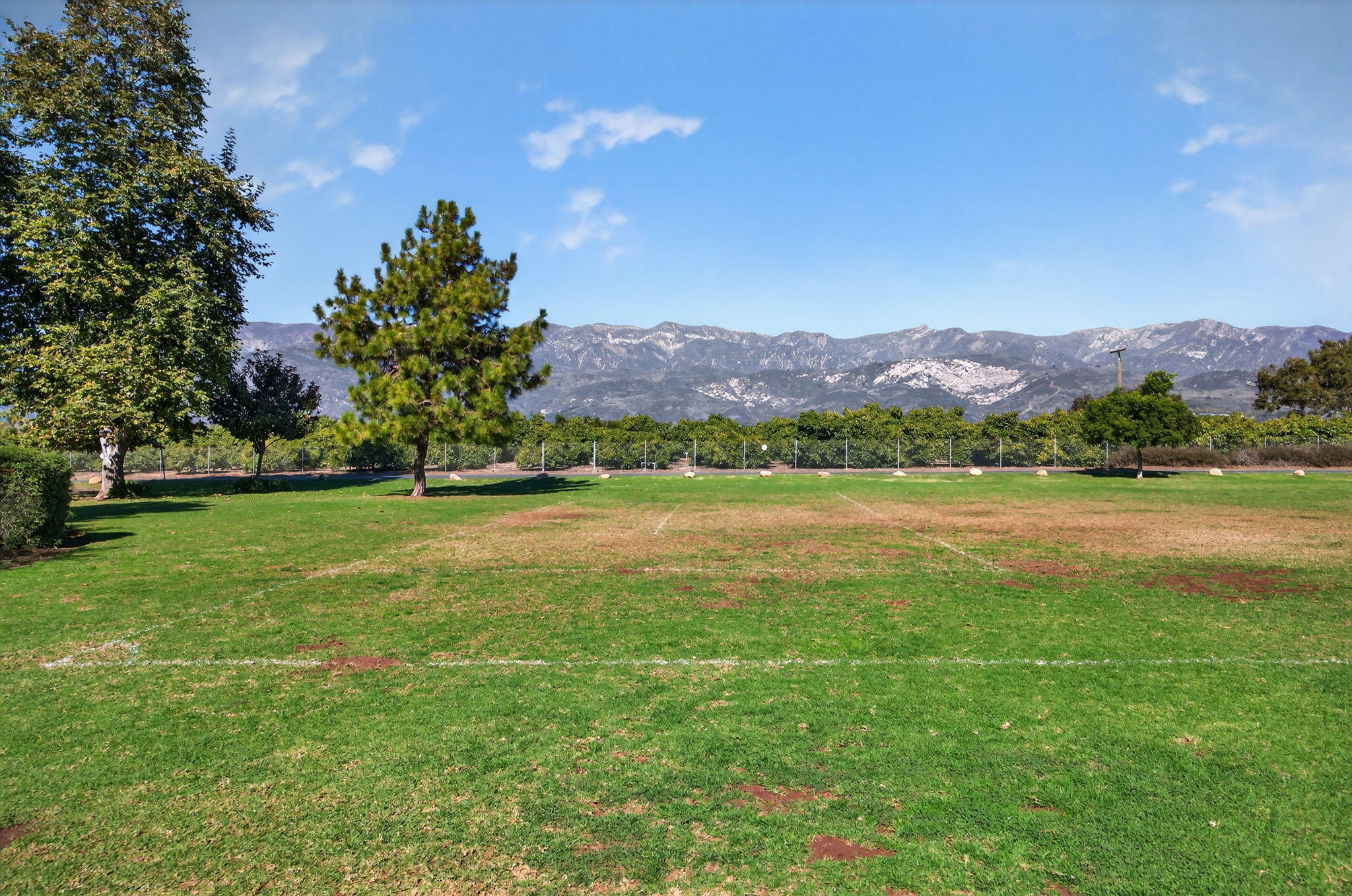 5976 Birch Street, Unit 2 Carpinteria, CA 93013 - Photo 21 of 39 a view of a lush green hillside and a houses