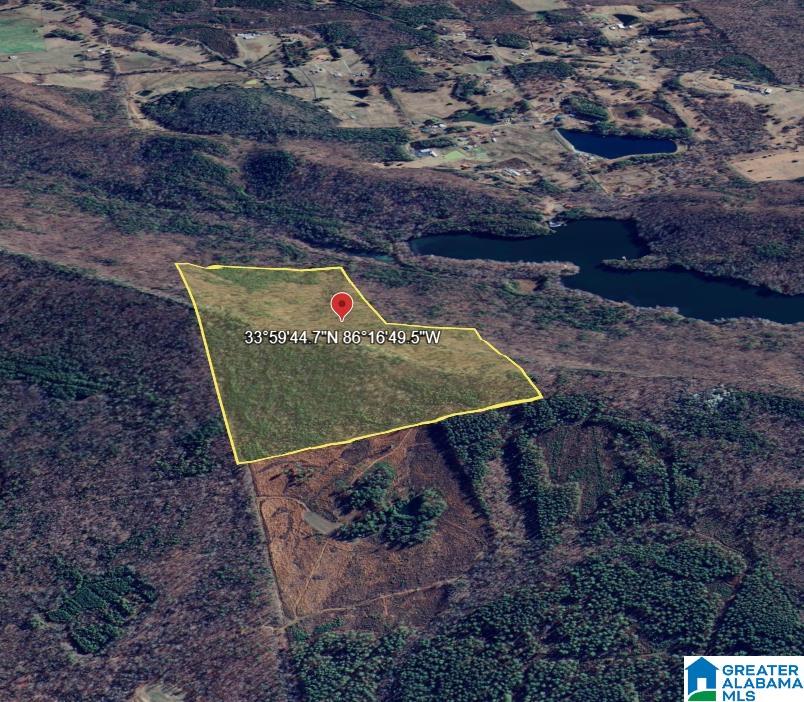 0 Buzzard Rock Road Gallant, AL 35972 - Photo 3 of 4