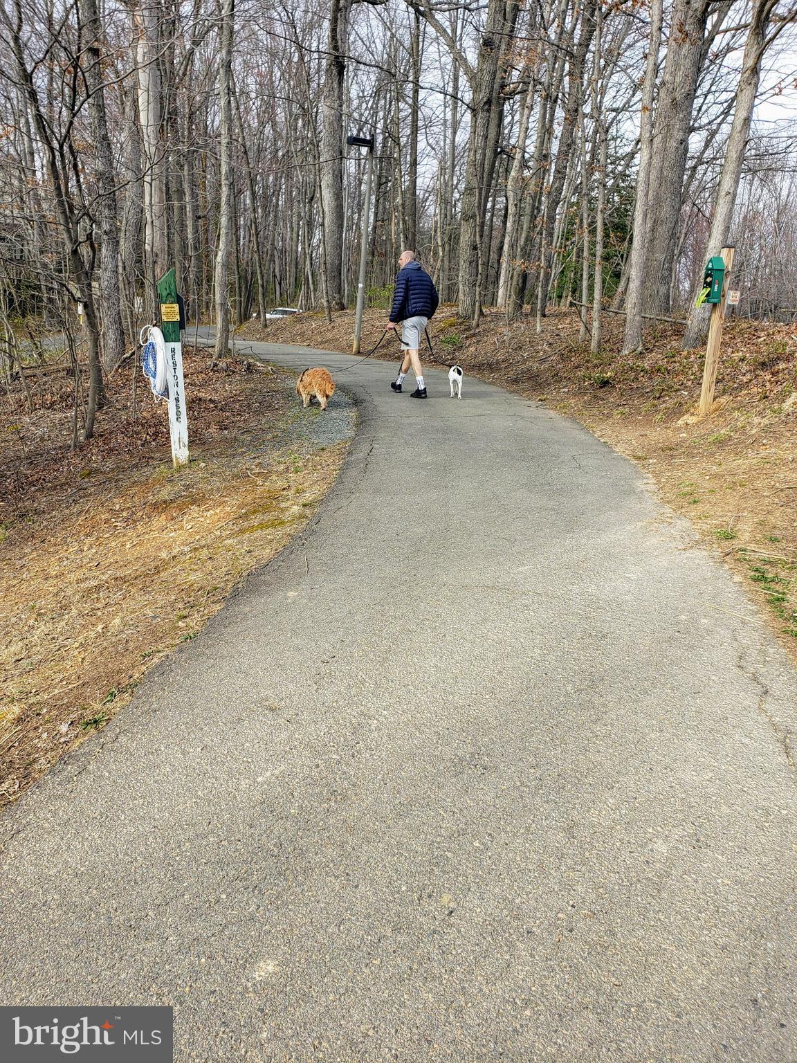 11430 Fairway Drive Reston, VA 20190 - Photo 36 of 38