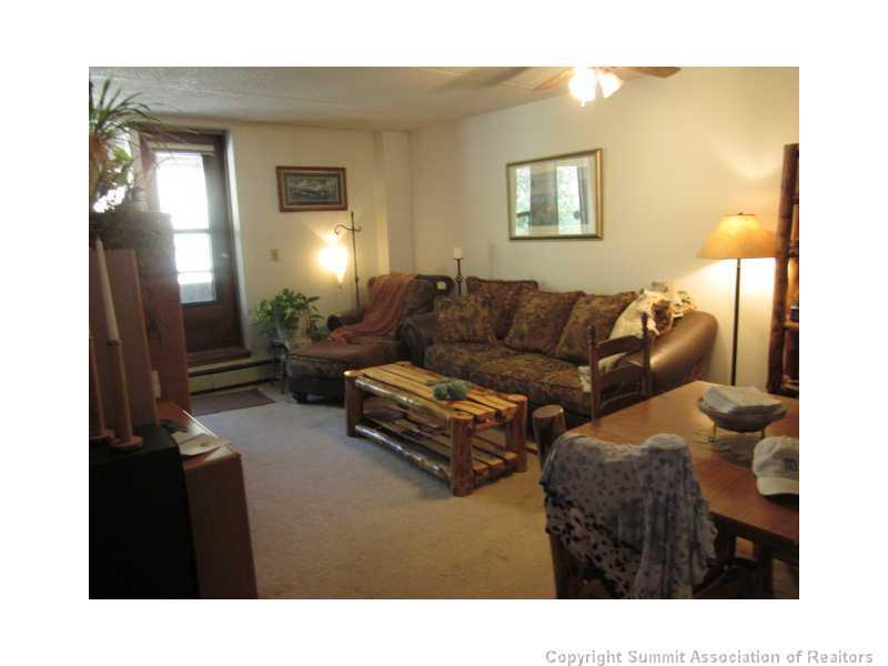 800 Copper Road, Unit 176 Copper Mountain, CO 80443 - Photo 3 of 20 a living room with furniture and a lamp