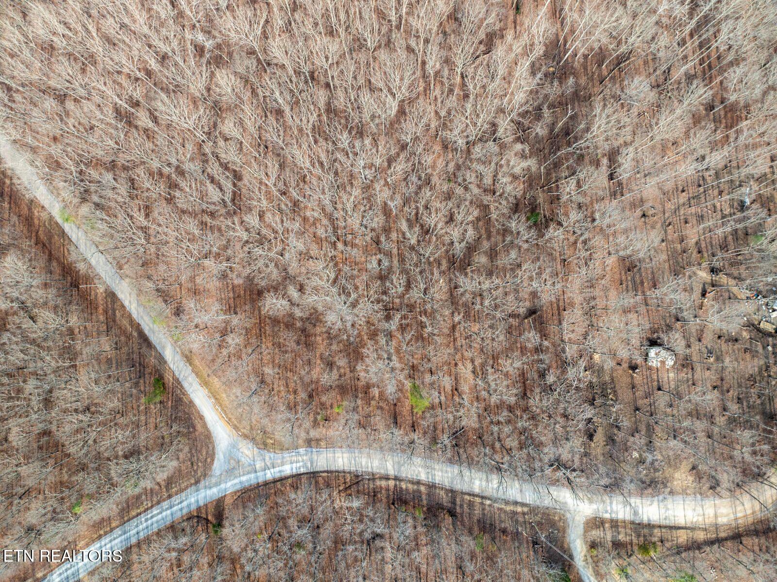 0 Valley View Road Crossville, TN 38572 - Photo 10 of 12 vvr1