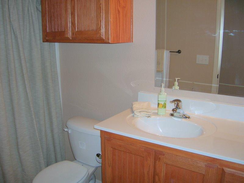 18950 Stone Creek Road Amarillo, TX 79124 - Photo 14 of 15 Hall Bathroom