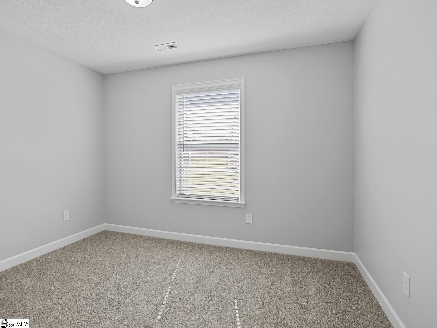 303 Gleaner Drive Inman, SC 29349 - Photo 25 of 35