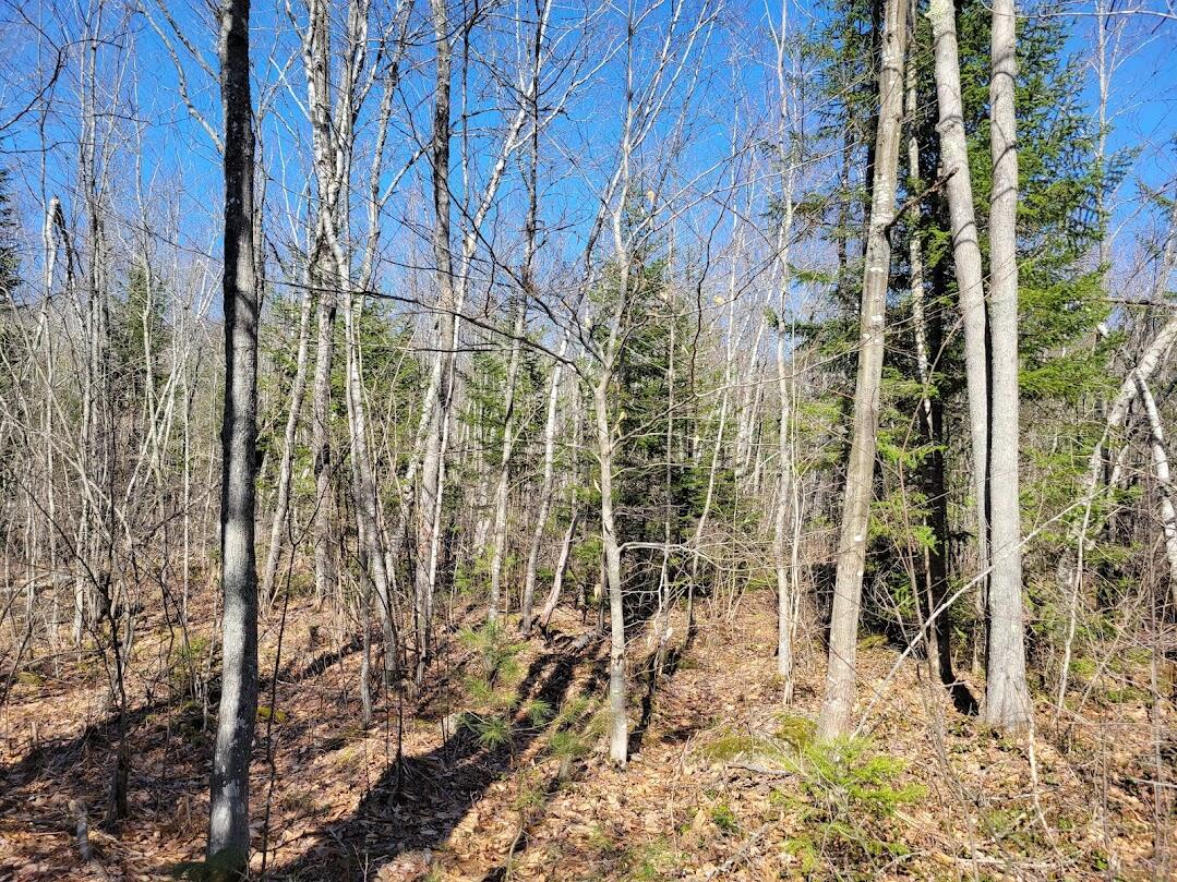 0 Norton Ridge Road Shapleigh, ME 04076 - Photo 8 of 10 20220402_151649