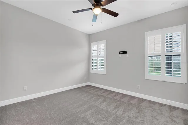 a view of a field with a tree in the background