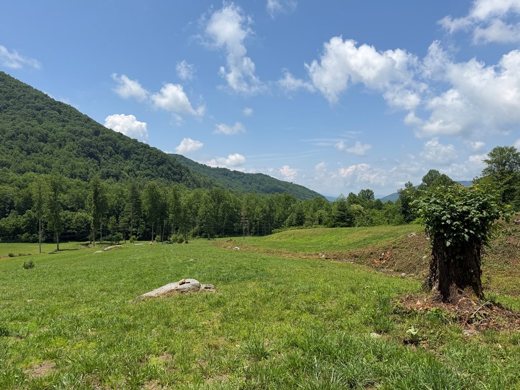 1446 Muskrat Creek Road Hayesville, NC 28904 - Photo 78 of 108