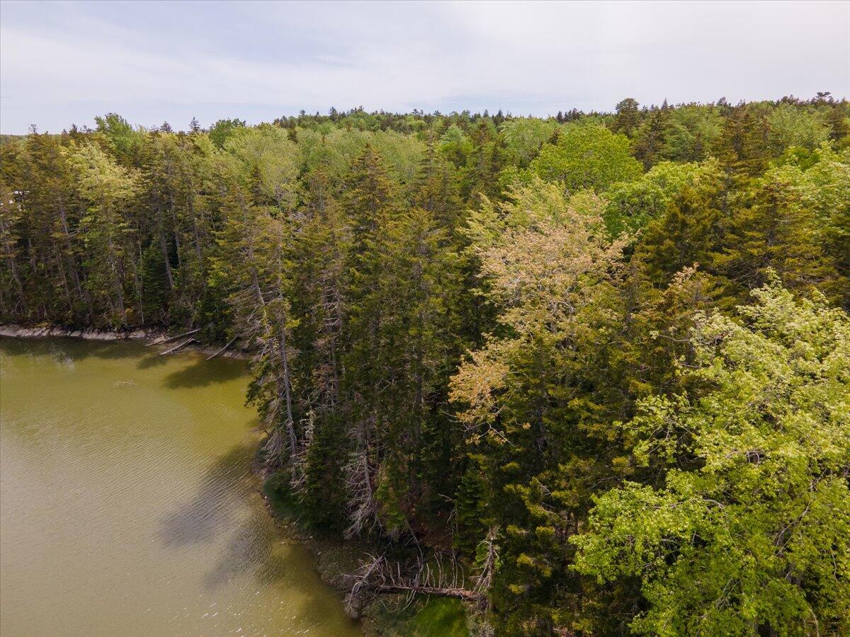 Lot 1 Boulder Hill Road Tenants Harbor, ME 04860 - Photo 11 of 22 Lot 1 Boulder Hill Road, Saint George