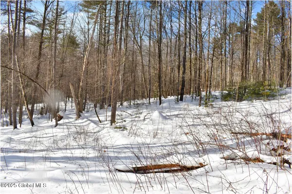 $66,800 | L93 Highview Lane, Unit LOT 9, North Creek, NY 12853