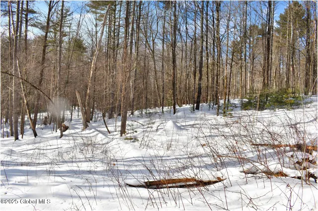 $66,800 | L93 Highview Lane, Unit LOT 9, North Creek, NY 12853