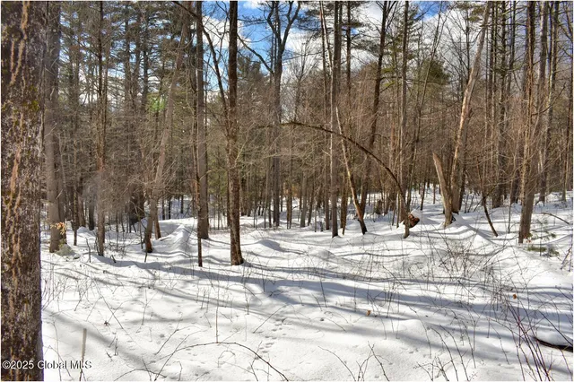 $66,800 | L93 Highview Lane, Unit LOT 9, North Creek, NY 12853