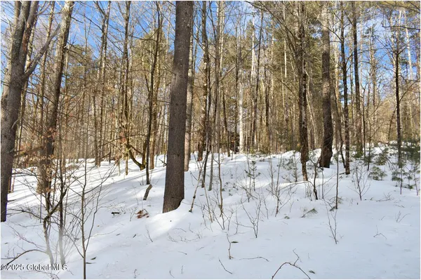 $66,800 | L93 Highview Lane, Unit LOT 9, North Creek, NY 12853