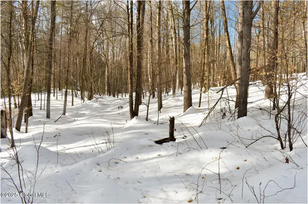 $66,800 | L93 Highview Lane, Unit LOT 9, North Creek, NY 12853