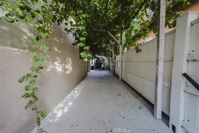 a view of a yard with a tree