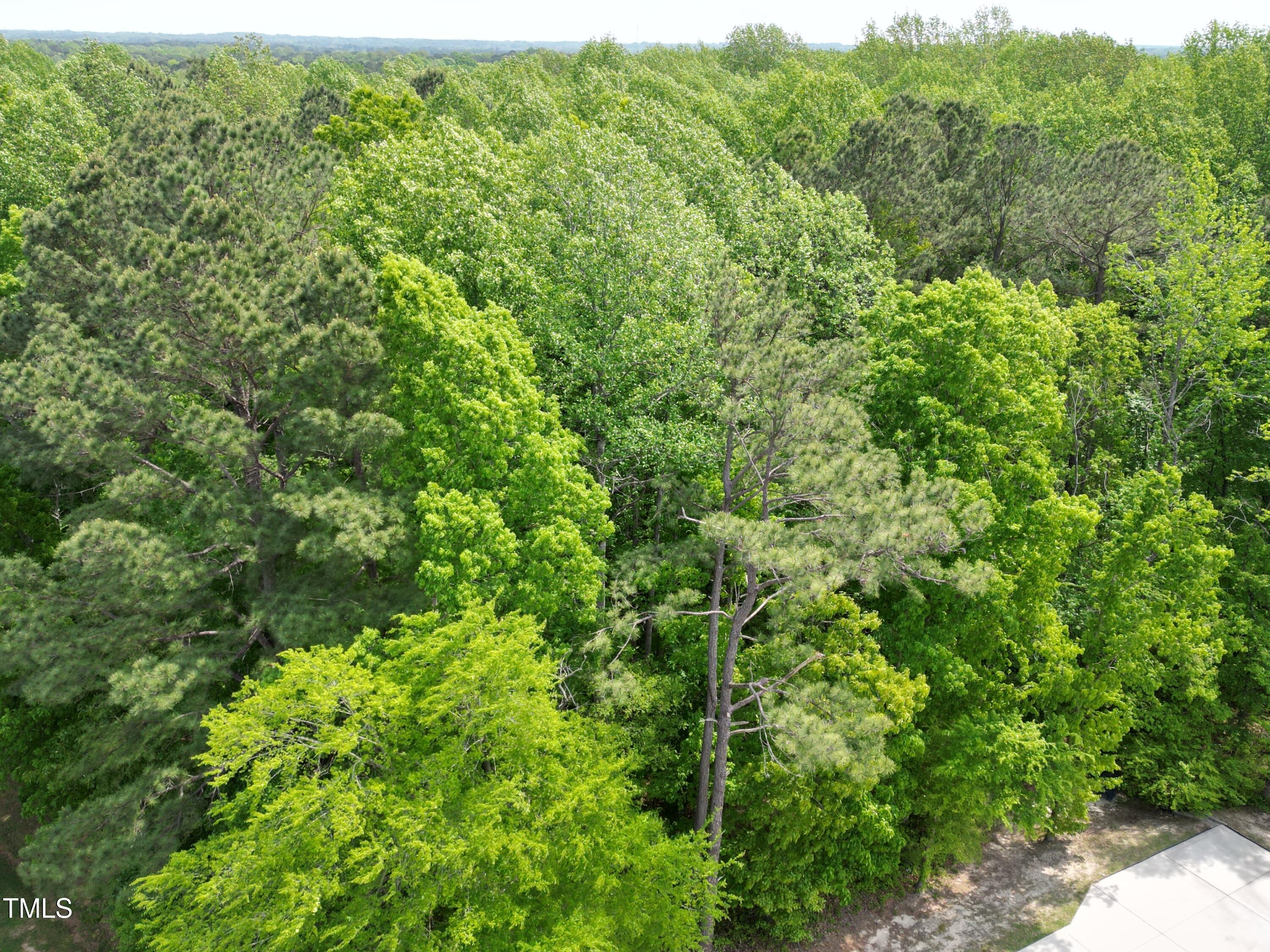 2712 Homestead Forest Road Zebulon, NC 27597 - Photo 17 of 18 DJI_0179