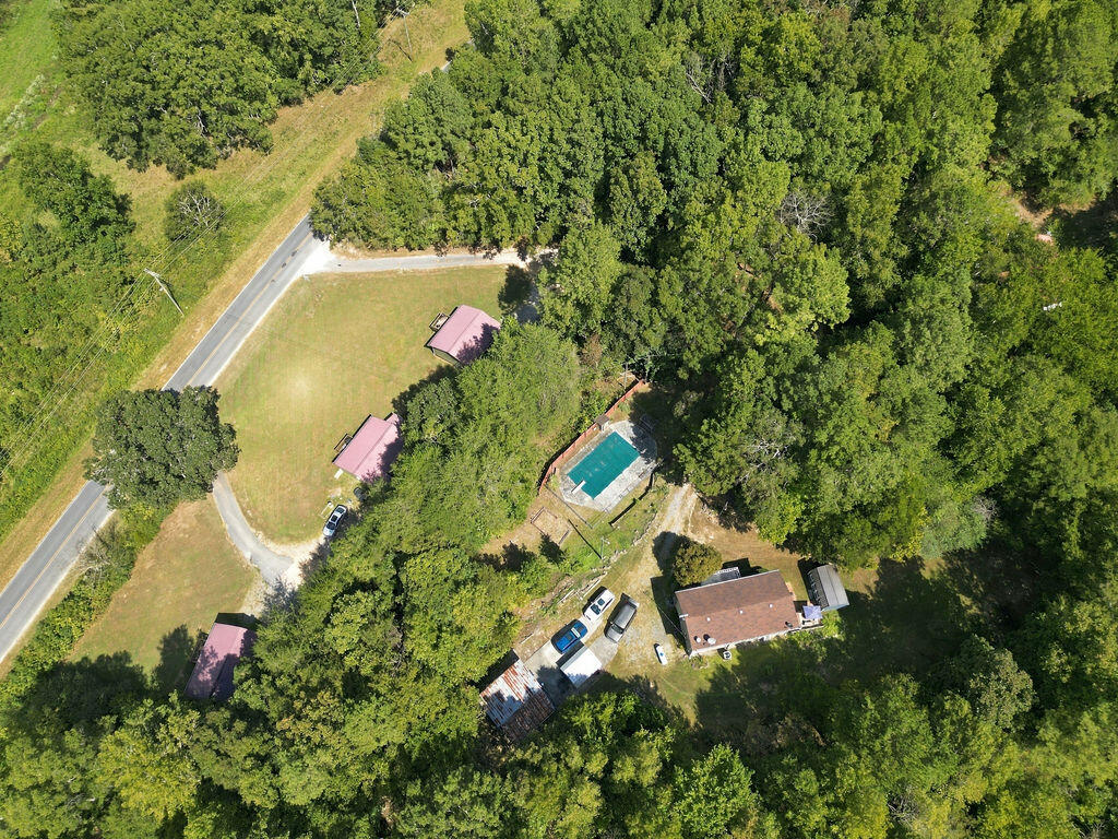 1254 Mahan Road Summerville, GA 30747 - Photo 47 of 50 Aerial 8