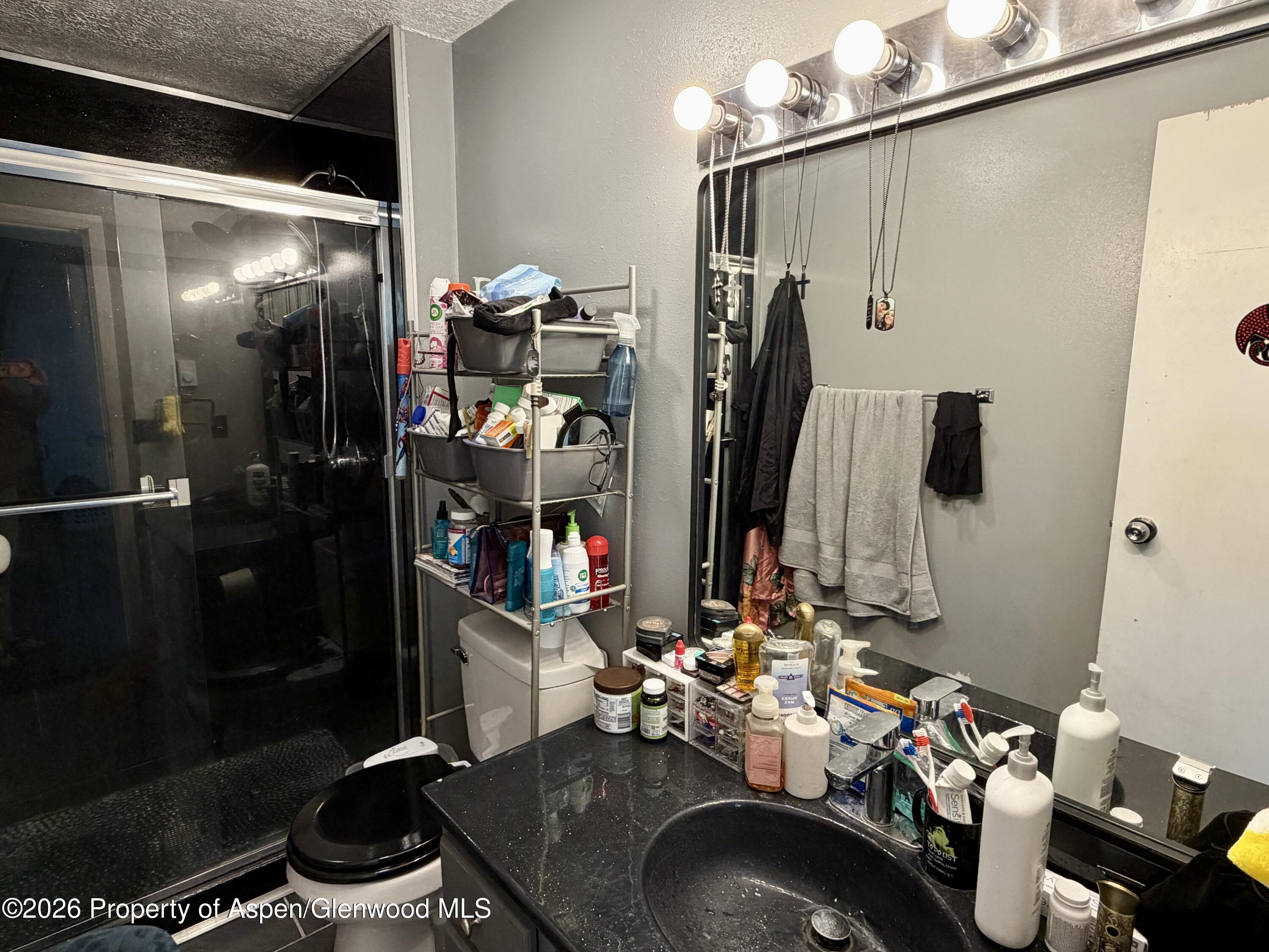 1409 Silver Sage Road Meeker, CO 81641 - Photo 7 of 12 .