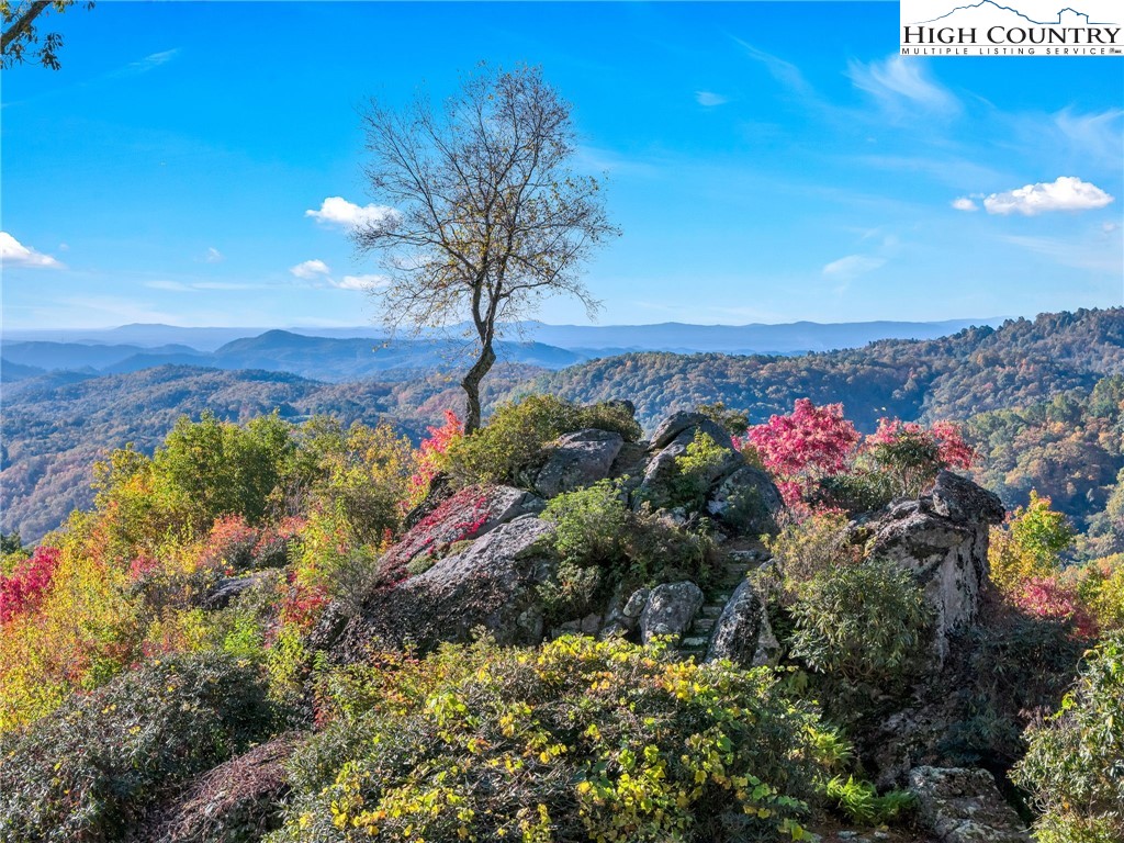 933 Thunder Ridge Lane Lenoir, NC 28645 - Photo 2 of 45