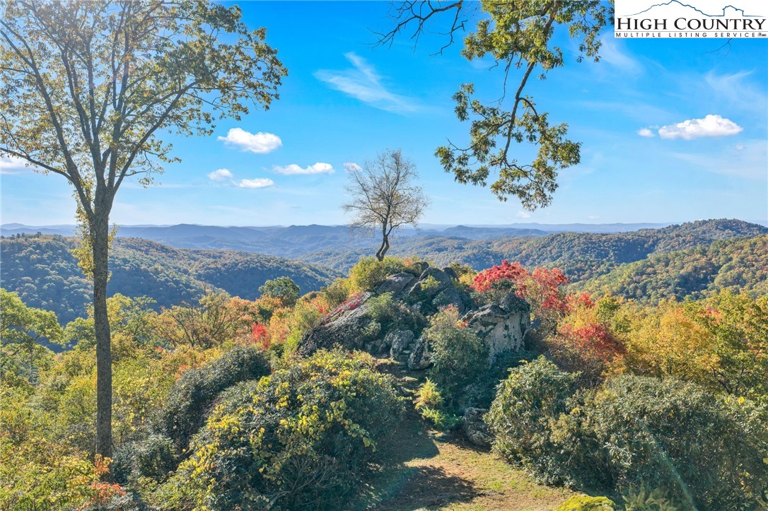 933 Thunder Ridge Lane Lenoir, NC 28645 - Photo 43 of 45