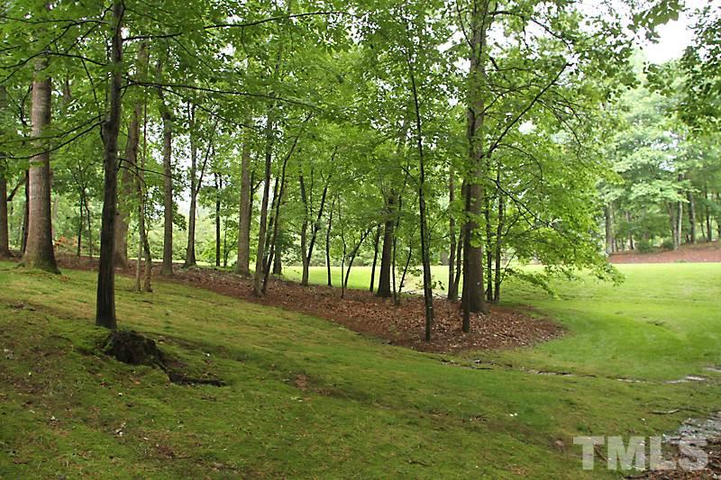 12301 Staunton Court Raleigh, NC 27613 - Photo 24 of 25 a view of a park with a tree