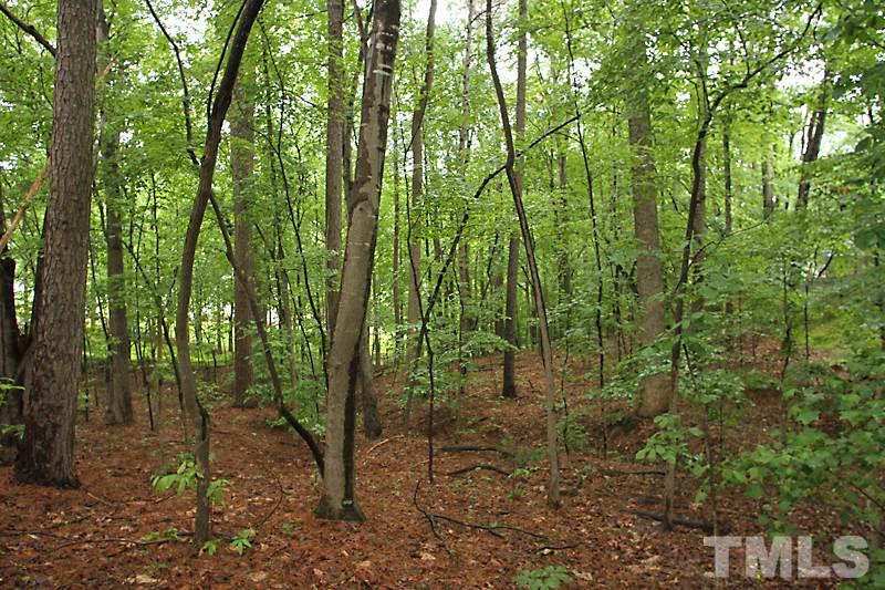 12301 Staunton Court Raleigh, NC 27613 - Photo 25 of 25 a view of forest