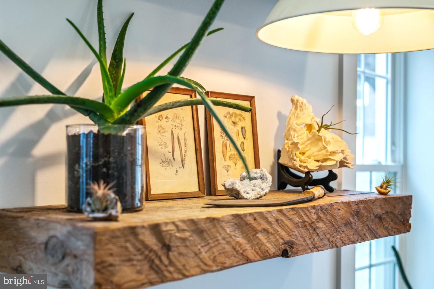 2043 East Susquehanna Avenue Philadelphia, PA 19125 - Photo 17 of 58