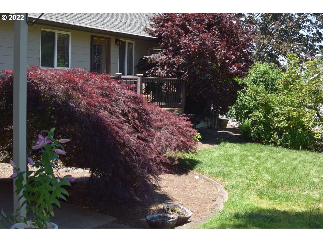 8717 Northeast Webster Street Portland, OR 97220 - Photo 26 of 30 a view of a house with a yard plants and large tree