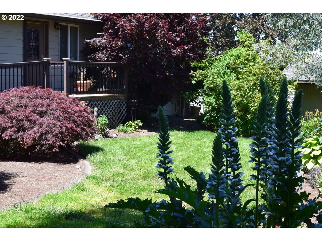 8717 Northeast Webster Street Portland, OR 97220 - Photo 29 of 30 a view of a garden