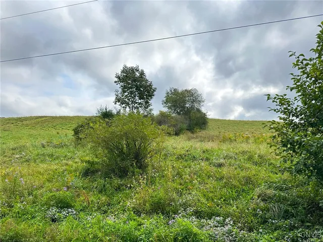 $84,900 | Buck Road, Fly Creek, NY 13337