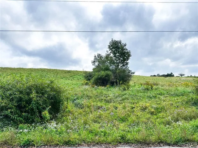 $84,900 | Buck Road, Fly Creek, NY 13337