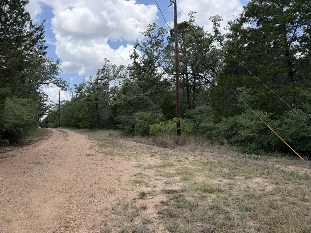 Tbd Red Fox Lane Bastrop, TX 78602 - Photo 14 of 14 A private gravel road winds through a heavily wooded lot, offering seclusion and natural beauty.