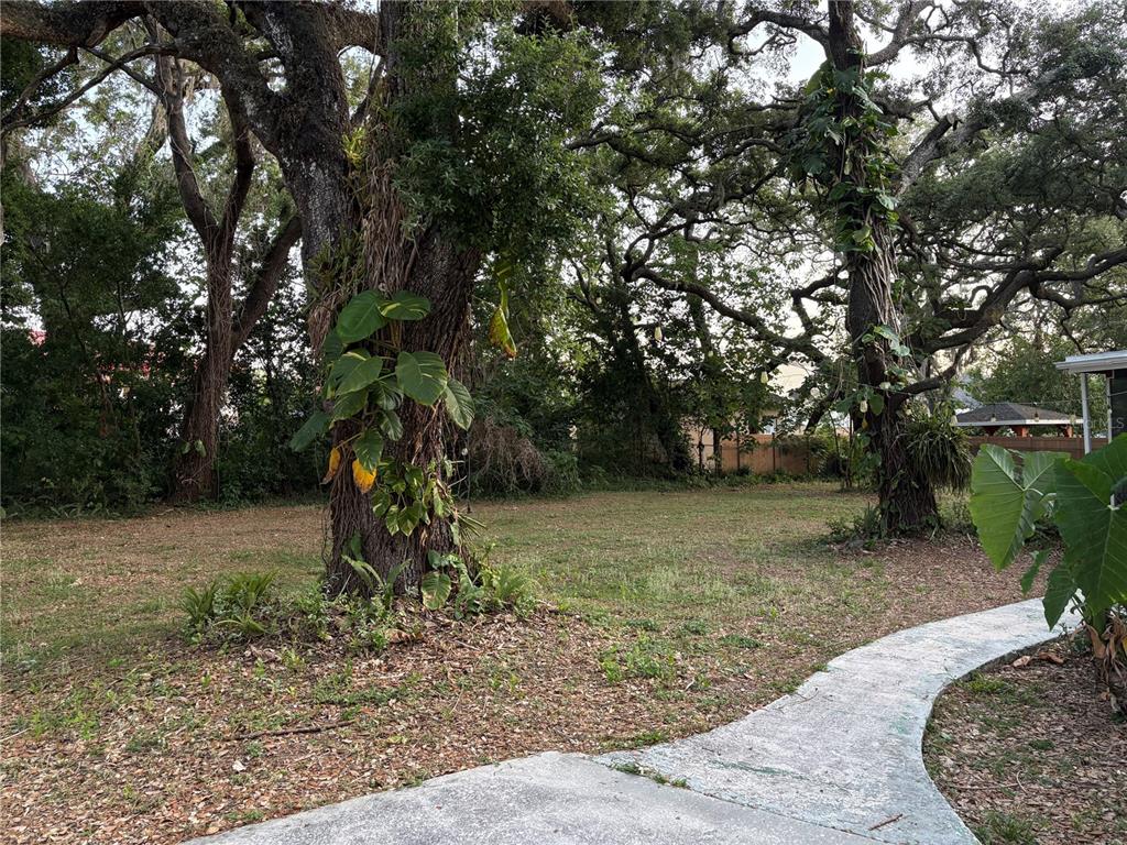 5107 East 120th Avenue Temple Terrace, FL 33617 - Photo 22 of 24 a view of a park with large trees