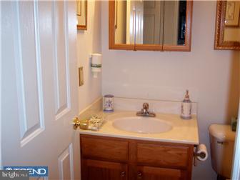 316 Brandon Road Norristown, PA 19403 - Photo 9 of 12 Bathroom
