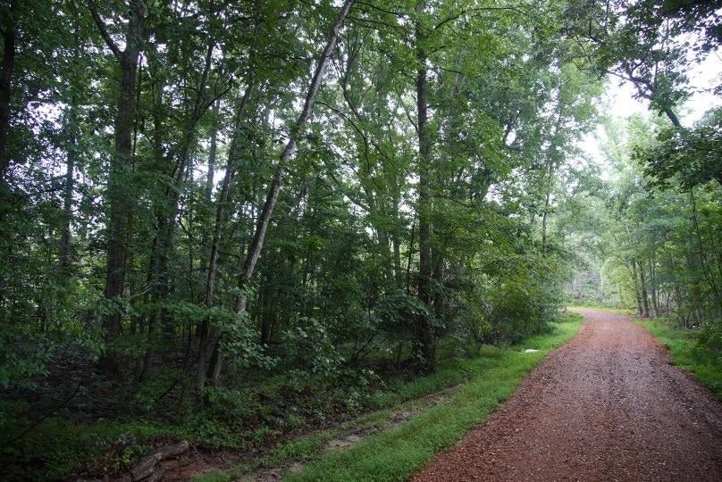 650 Ridge Road New Concord, KY 42076 - Photo 4 of 15 Gallery Image 4