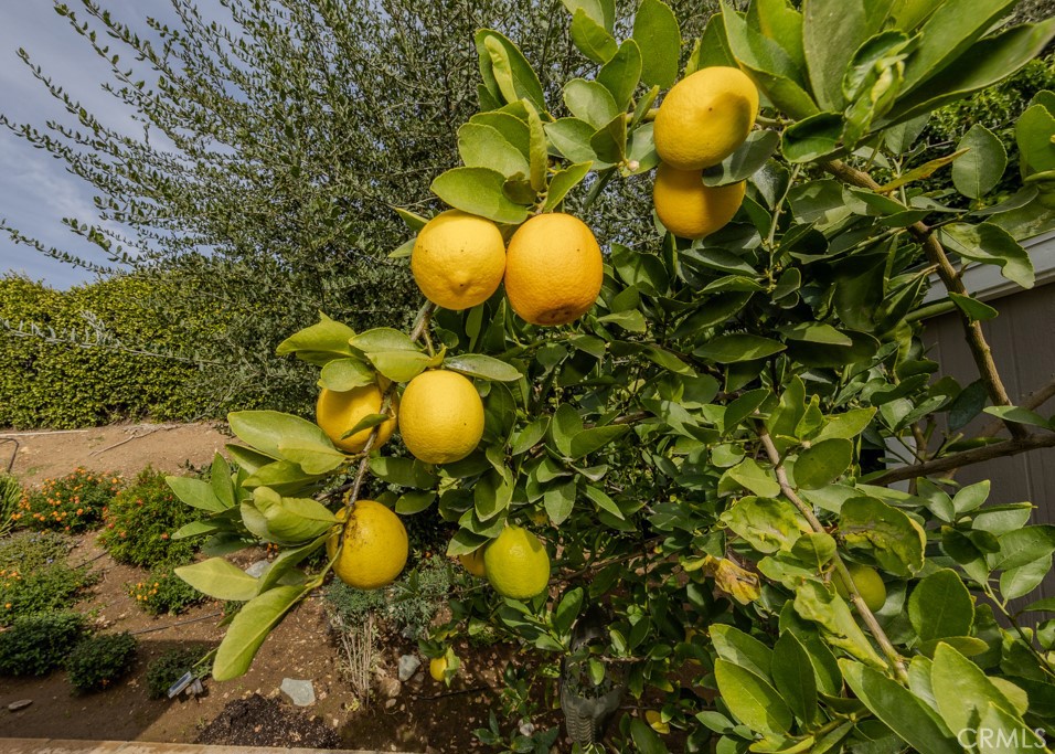 9588 Highland Avenue Rancho Cucamonga, CA 91737 - Photo 43 of 52