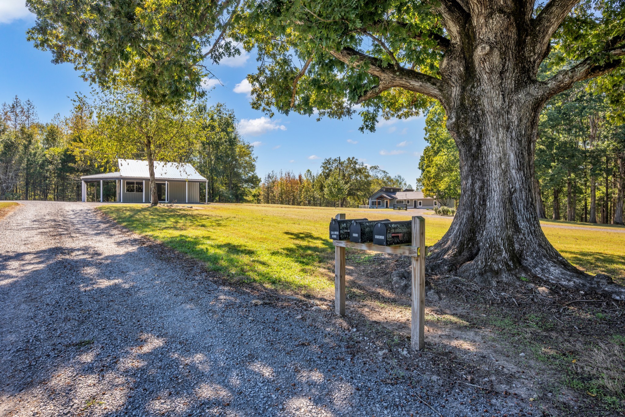 168 Oliver Smith Road Flintville, TN 37335 - Photo 7 of 86 a view of a backyard with swimming pool