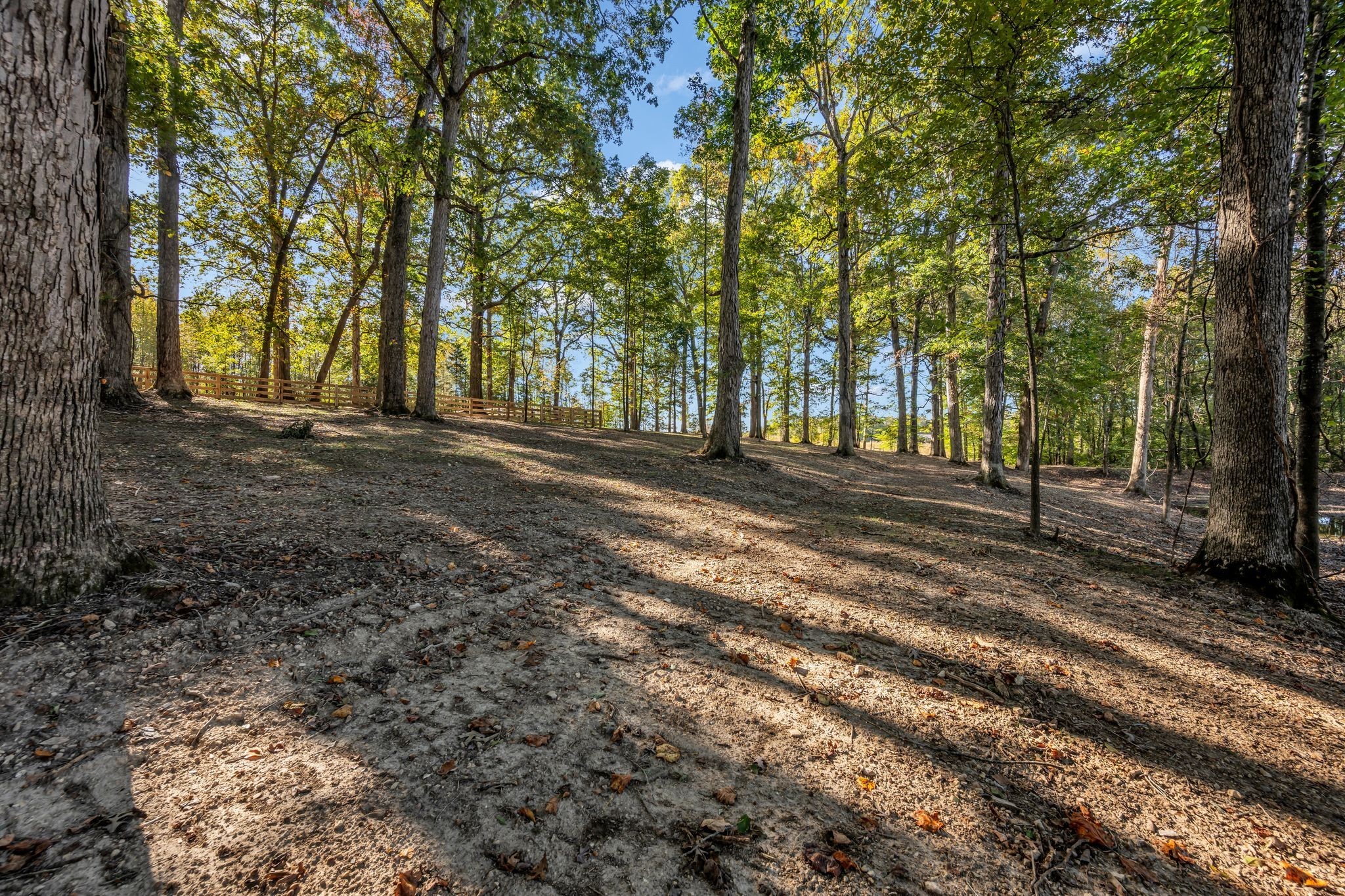 168 Oliver Smith Road Flintville, TN 37335 - Photo 81 of 86