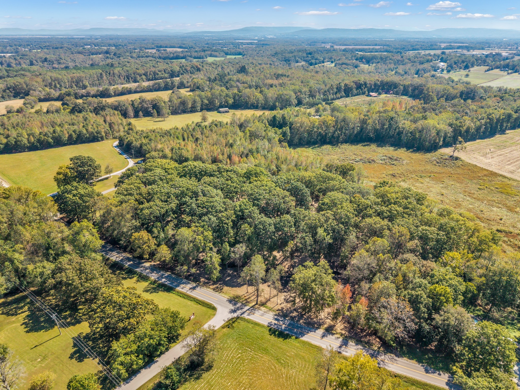 168 Oliver Smith Road Flintville, TN 37335 - Photo 9 of 86 an aerial view of residential houses with outdoor space
