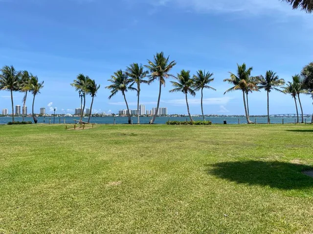 a view of yard with palm trees