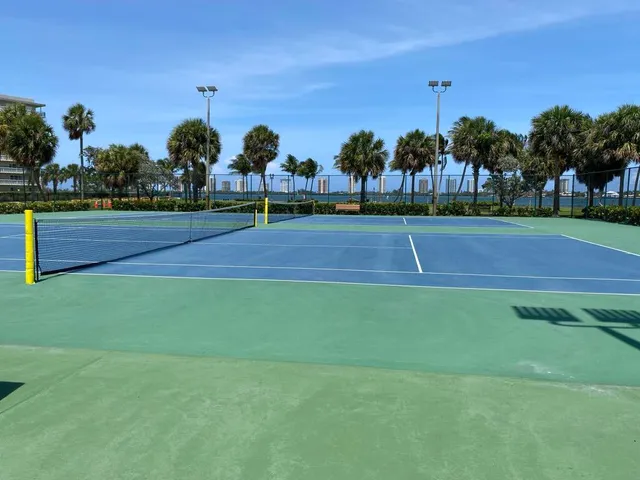 a view of a park with large trees