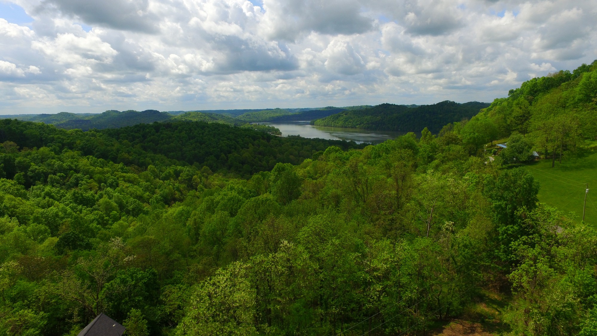 0 Eagle Mountain Road Granville, TN 38564 - Photo 1 of 9 a view of a green field with lots of bushes