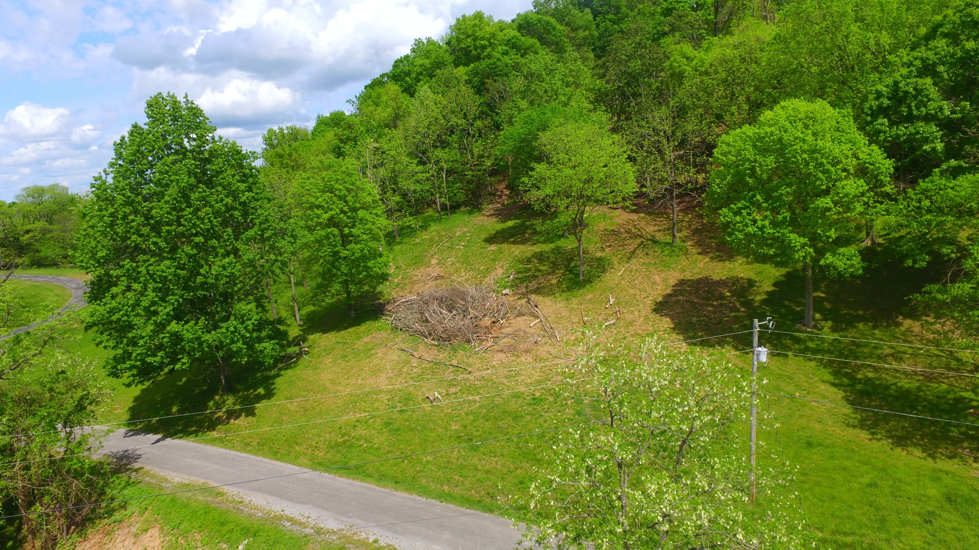 0 Eagle Mountain Road Granville, TN 38564 - Photo 3 of 9 a view of a garden