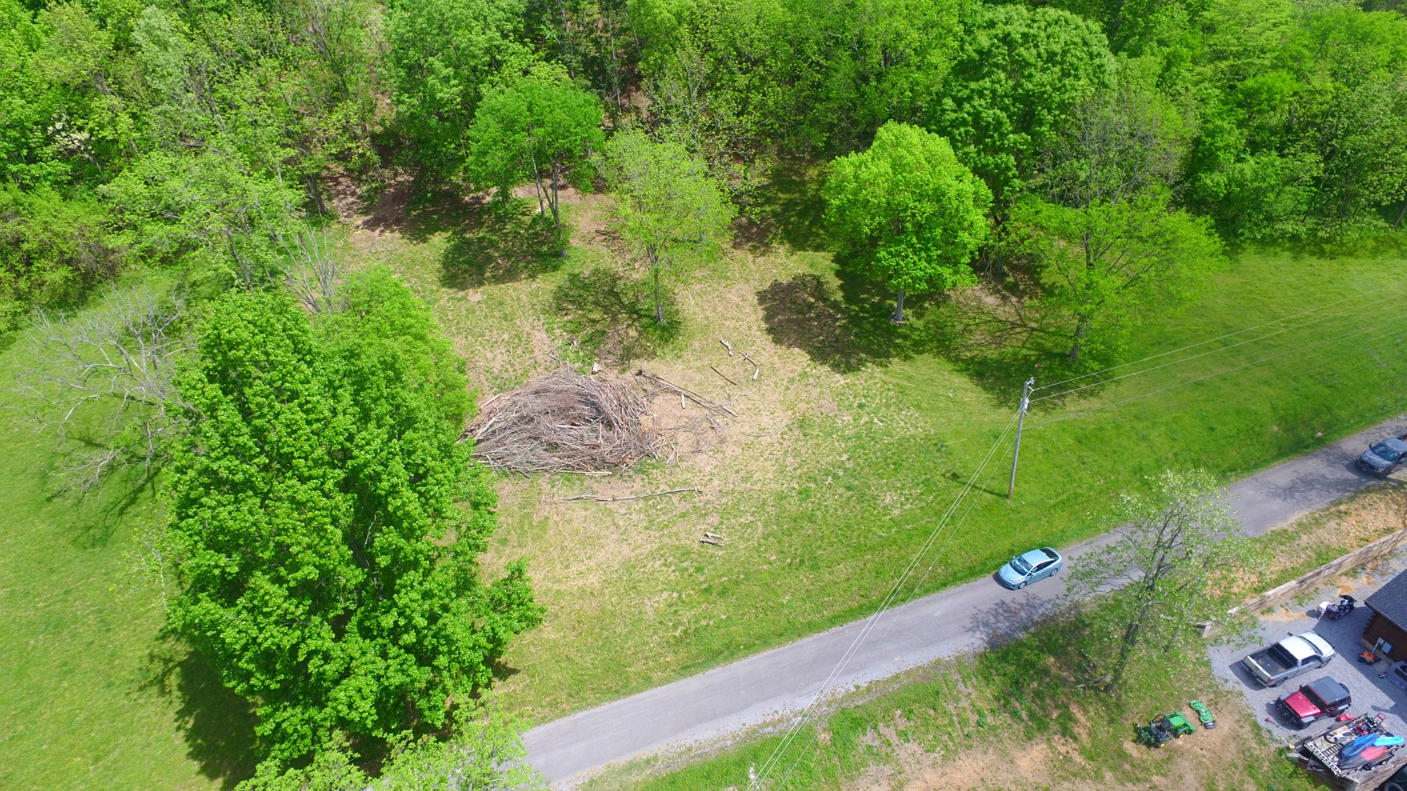 0 Eagle Mountain Road Granville, TN 38564 - Photo 5 of 9 a view of a yard with plants