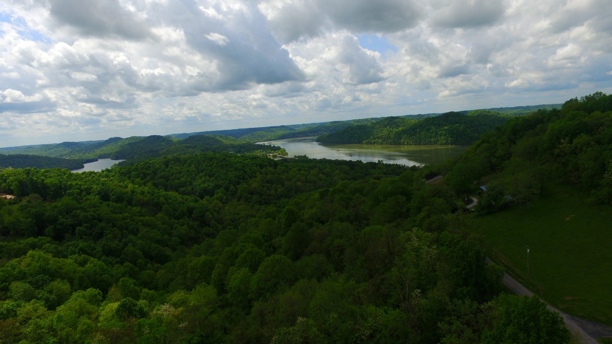 0 Eagle Mountain Road Granville, TN 38564 - Photo 6 of 9 a view of a green field with lots of bushes