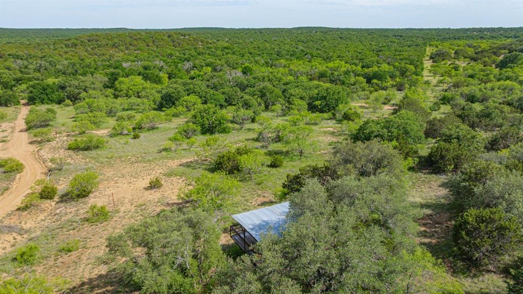 136 Moose Trail Ranger, TX 76470 - Photo 11 of 40 a view of a big yard with lots of trees