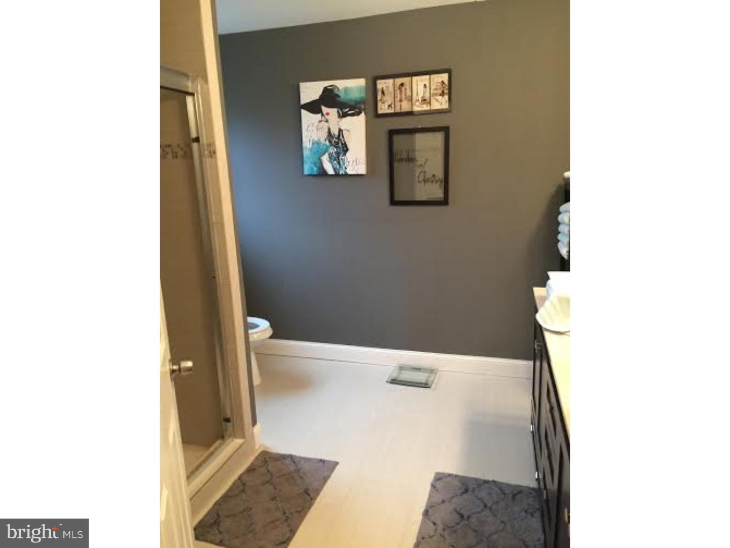 260 Ripka Street Philadelphia, PA 19127 - Photo 12 of 20