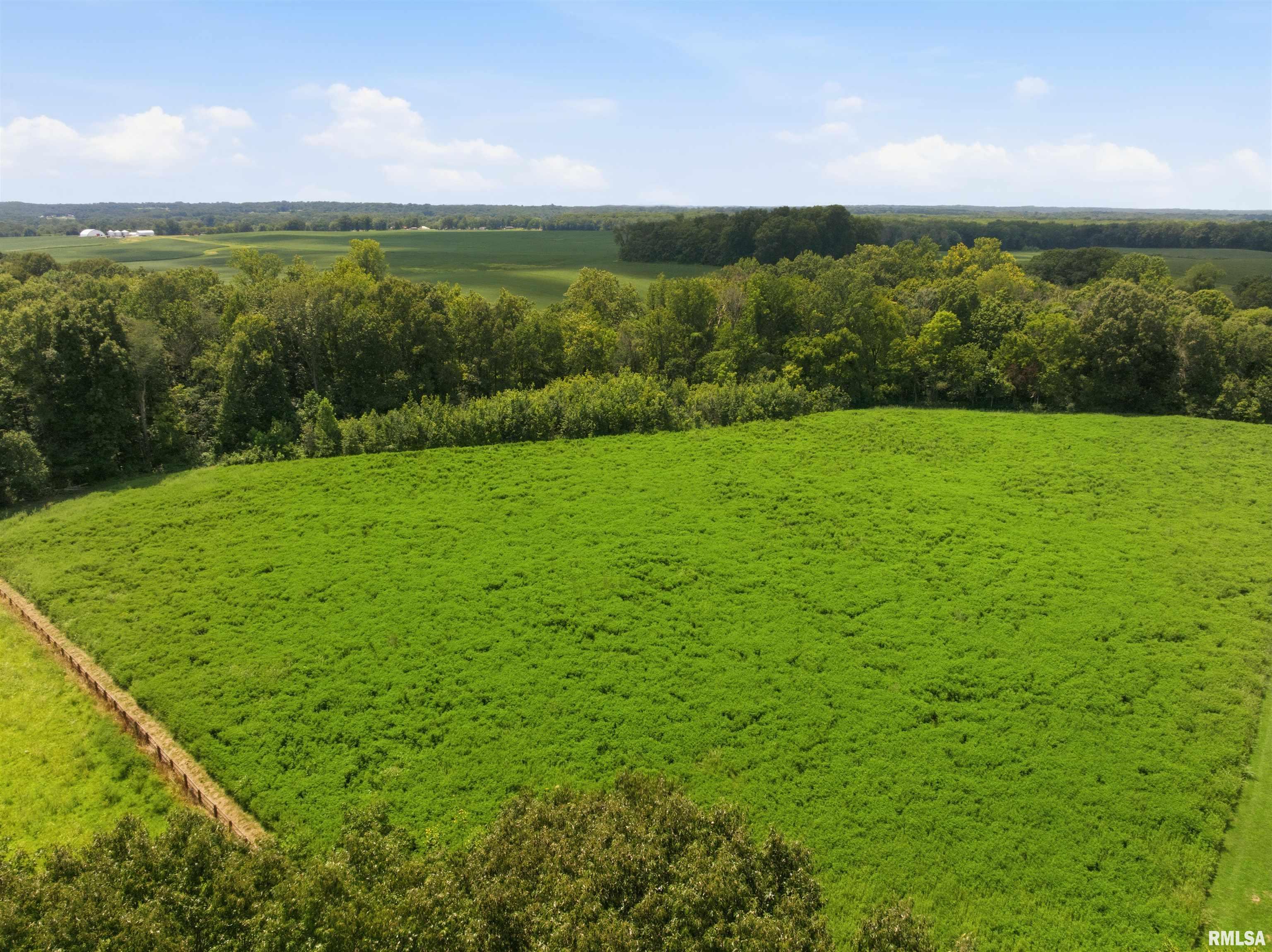 2825 Buncombe Road Vienna, IL 62995 - Photo 76 of 79 Gallery Image 76